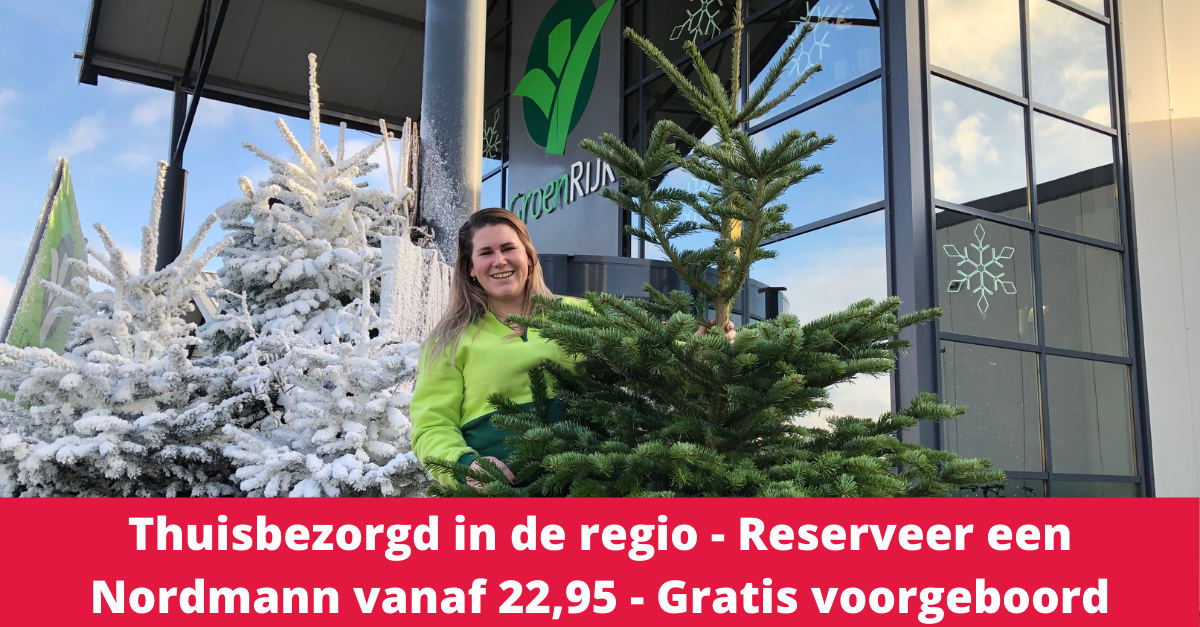 Een echte kerstboom | Scherp - Tuinwinkel online tuincentrum - GroenRijk Rijswijk