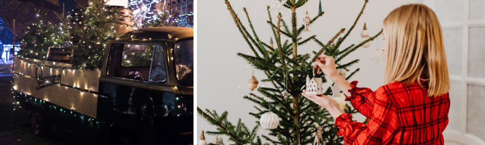 Een echte kerstboom | Scherp - Tuinwinkel online tuincentrum - GroenRijk Rijswijk