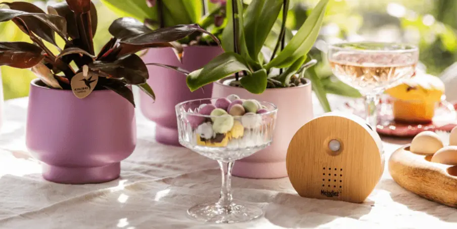 Header Melodiez Nature Box