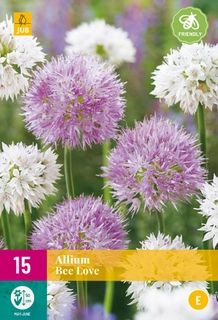 Allium Bee Love - 15 bloembollen