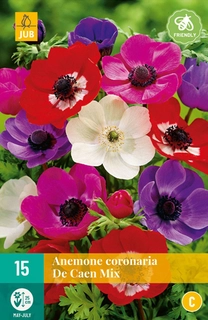 Anemone Coronaria De Caen Mix - 15 bloembollen