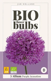 Bio Allium Purple Sensation - 5 bloembollen