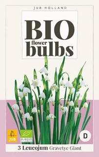 Biologische Leucojum Gravetye Giant