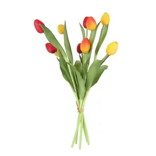 Boeket Tulpen L49 cm - Rood/Geel
