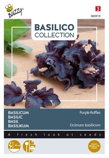 Buzzy® zaden - Basilicum Purple Ruffles - afbeelding 1