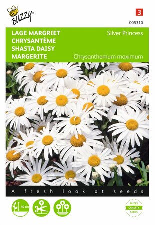Buzzy® zaden - Chrysanthemum, Lage Margriet Silver Princess - afbeelding 1