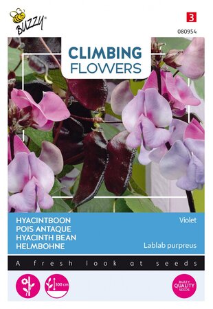 Buzzy® zaden - Climbing Flowers, Dolichos lablab, Hyacinthboon - afbeelding 1