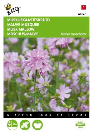 Buzzy® zaden - Malva, Muskus Kaasjeskruid roze - afbeelding 1