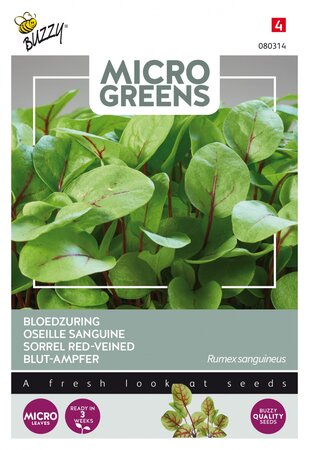 Buzzy® zaden - Microgreens, Bloedzuring - afbeelding 1