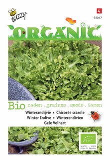 Buzzy® zaden - Organic Andijvie Gele Volhart  (BIO) - afbeelding 1