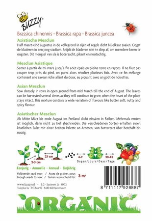Buzzy® zaden - Organic Aziatische Mesclun (BIO) - afbeelding 4