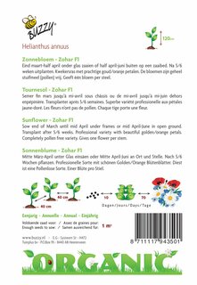 Buzzy® zaden - Organic Helianthus, Zonnebloem Zohar F1 (BIO) - afbeelding 4