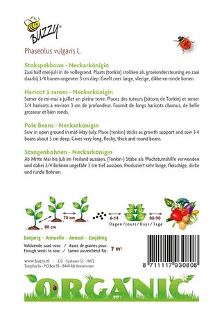 Buzzy® zaden - Organic Stokspekboon Neckarkönigin (BIO) - afbeelding 2