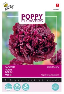 Buzzy® zaden - Poppy Flowers, Papaver Black Paeony - afbeelding 1