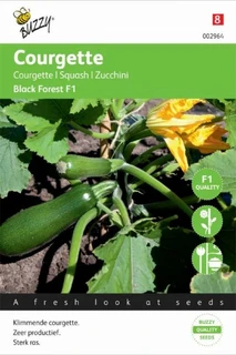 Buzzy® zaden - Courgette Klimmend Black Forest F1