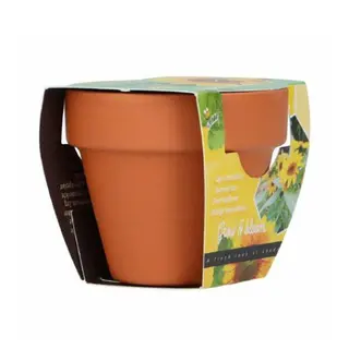 Buzzy® zaden - Grow Gifts Zonnebloem - afbeelding 1