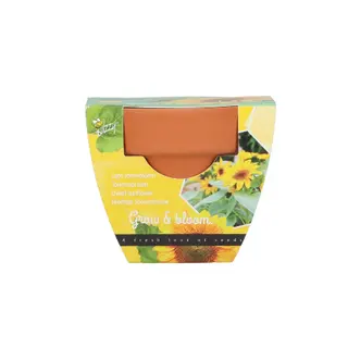 Buzzy® zaden - Grow Gifts Zonnebloem - afbeelding 2