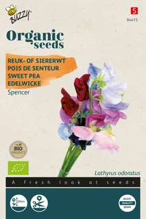 Buzzy® zaden - Organic Lathyrus, Reuk- of Siererwt Spencer (BIO)