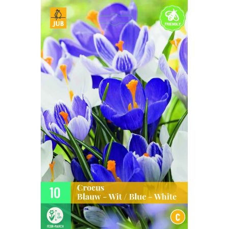 Crocus blauw/wit mix - 10 bloembollen