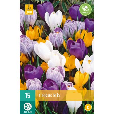 Crocus grootbloemig mix - 10 bloembollen