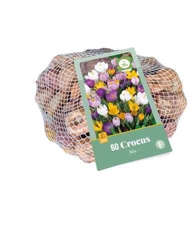 Crocus Mix - 60 bloembollen