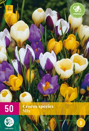 Crocus Species Mix