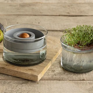 Esschert Design Avocado kweekset - afbeelding 4