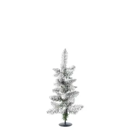 Everlands Snowy Pencil Pine H60cm Groen/wit - afbeelding 1