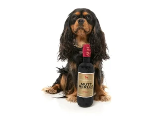 Fuzzyard Mutt Merlot - afbeelding 2