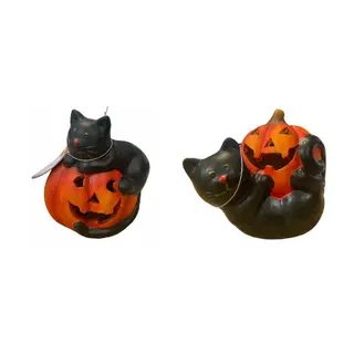 Halloween Kat Op Pompoen Met Led (assorti)