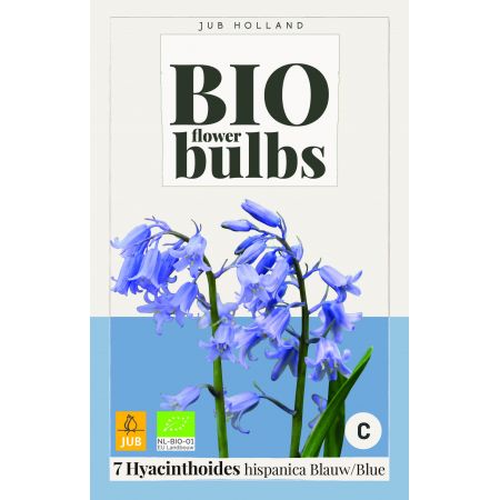 Bio Hyacinthoides Hispanica Blauw - 7 bloembollen