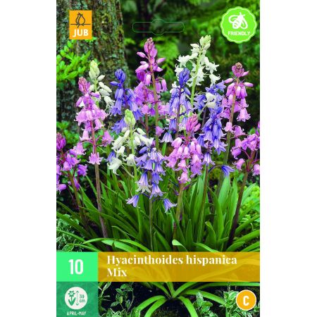 Hyacinthoides hispanica Mix - 10 bloembollen