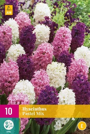 Hyacinthus Pastel Mix - 10 bloembollen