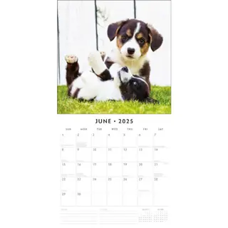 Kalender 2025 - Adorable Dogs - afbeelding 3