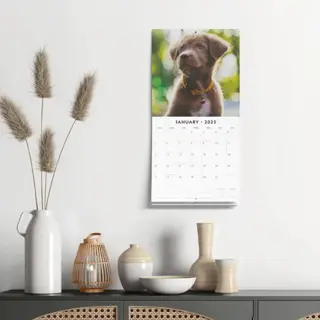 Kalender 2025 - Adorable Dogs - afbeelding 4