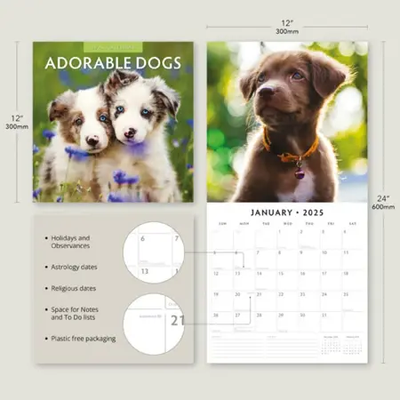 Kalender 2025 - Adorable Dogs - afbeelding 5