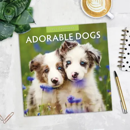 Kalender 2025 - Adorable Dogs - afbeelding 7