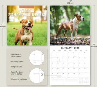 Kalender 2025 - Amer Staffordshire - afbeelding 2