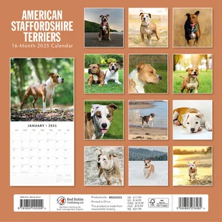 Kalender 2025 - Amer Staffordshire - afbeelding 3