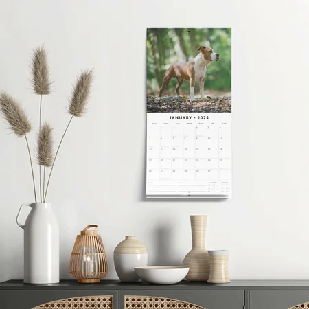 Kalender 2025 - Amer Staffordshire - afbeelding 4