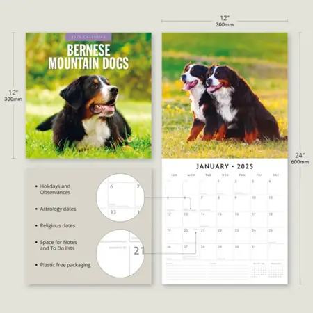 Kalender 2025 - Bernese Mountain Dogs - afbeelding 4