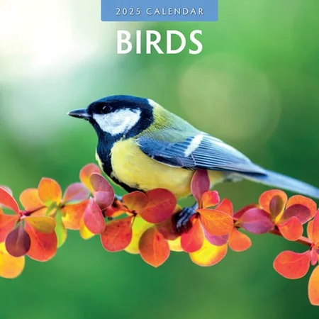 Kalender 2025 - Birds - afbeelding 1