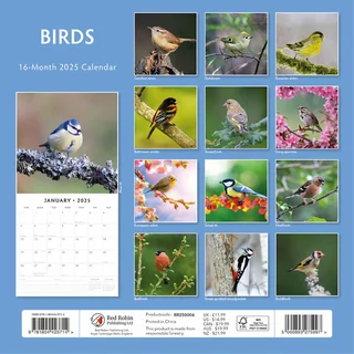 Kalender 2025 - Birds - afbeelding 2