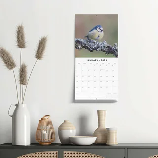 Kalender 2025 - Birds - afbeelding 4