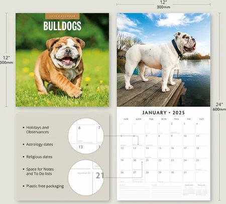 Kalender 2025 - Bulldogs - afbeelding 2