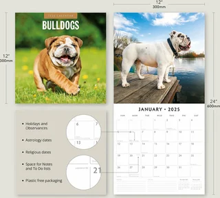 Kalender 2025 - Bulldogs - afbeelding 2