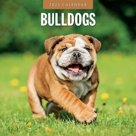 Kalender 2025 - Bulldogs - afbeelding 1