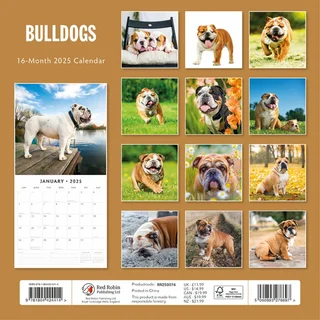 Kalender 2025 - Bulldogs - afbeelding 3