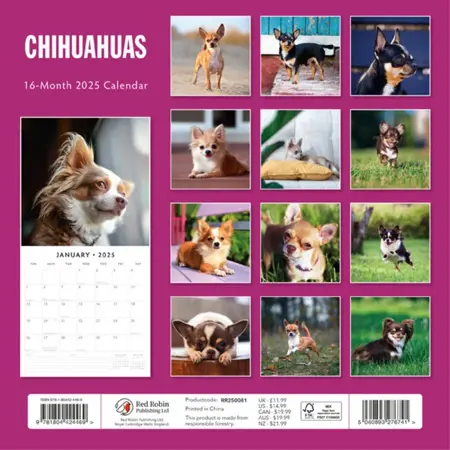 Kalender 2025 - Chihuahuas