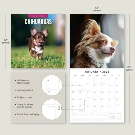 Kalender 2025 - Chihuahuas